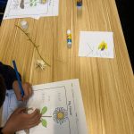 Creating Our Flowers