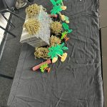 Descriptive Writing Prop