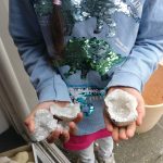 Geode cracking