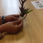 Learning about Roots