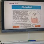 Learning about Teeth