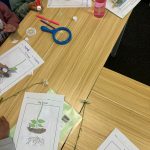 Making Flowers