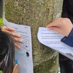 Practical - Exploring Trees