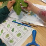 Studying Leaves
