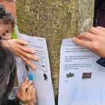 Teamwork - Exploring Trees