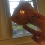 a gem of a cookie