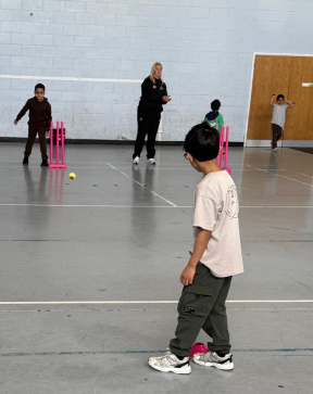 Cricket